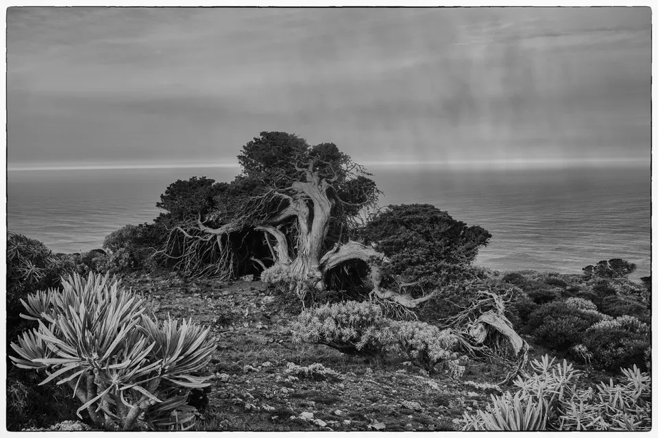El Hierro schwarz-weiß-28