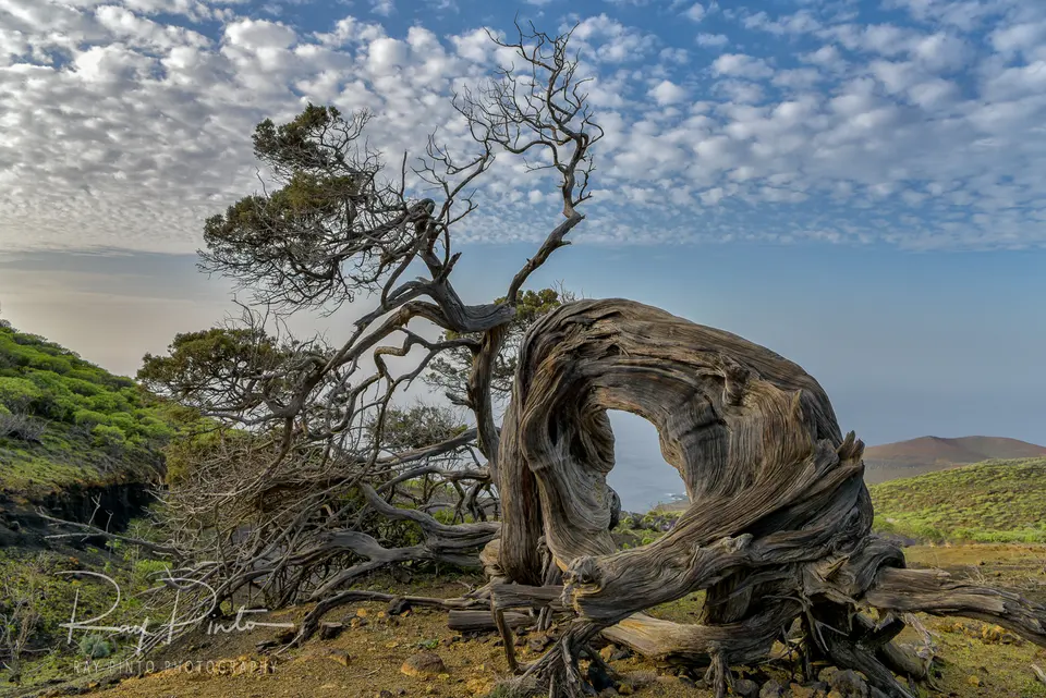 El Hierro Landschaft-11