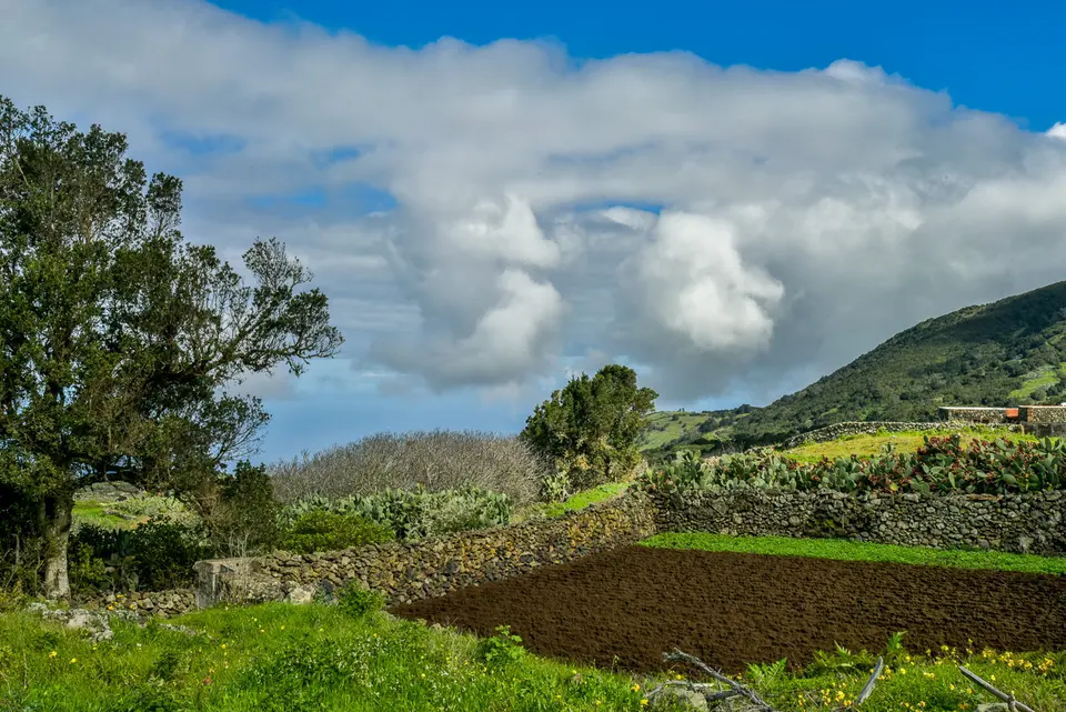 El Hierro Lava und Landschaft-31
